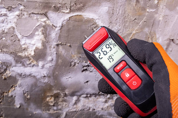 Best Mold Testing  in Short Pump, VA