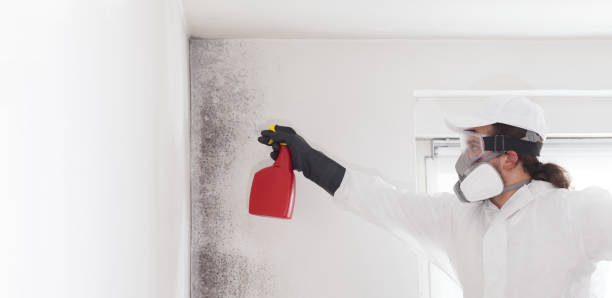 Certified Mold Removal in Short Pump, VA